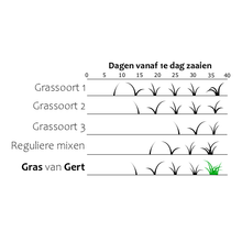 Afbeelding in Gallery-weergave laden, Herstelgras
