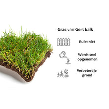 Afbeelding in Gallery-weergave laden, Kalk van Gert
