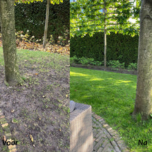 Afbeelding in Gallery-weergave laden, Persoonlijke mix
