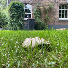 Afbeelding in Gallery-weergave laden, Touw tegen vogels

